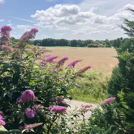 Thessa - 4km From The Sea By Interhome פאבורג