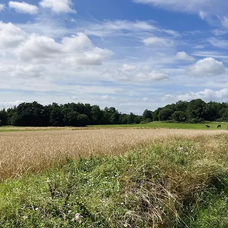 בית נופש Thessa - 4km From The Sea By Interhome פאבורג