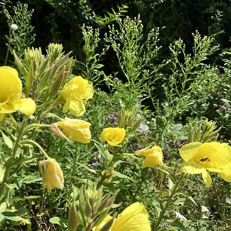 בית נופש Thessa - 4km From The Sea By Interhome *